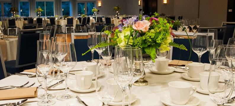 康涅狄格州布里斯托希尔顿逸林酒店(DoubleTree by Hilton Bristol)图片