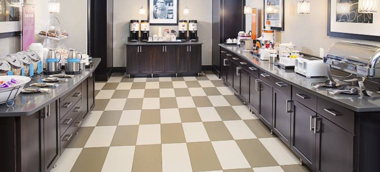 兰辛西部欢朋套房酒店(Hampton Inn & Suites Lansing West)图片