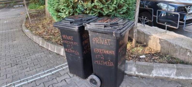 Criss Apartament Central图片