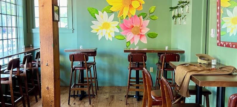 Beautiful NEW apt on top of Munjoy Hill with private deck and private parking.图片