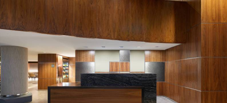 达拉斯市中心AC酒店(AC Hotel Dallas Downtown)图片