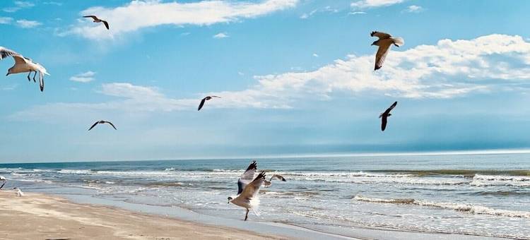 步行可达海滩度假屋，海滨特惠！4卧2.5卫，交通便利+美景！(Beach Side Discounts! 4Bd 2.5ba Short Walk 2 Beach & Easy Access+Views!)图片