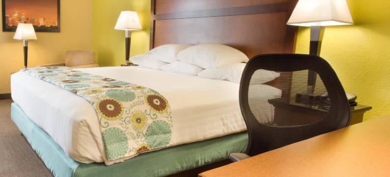 休斯顿加勒里亚德鲁里套房酒店(Drury Inn & Suites Houston Galleria)图片