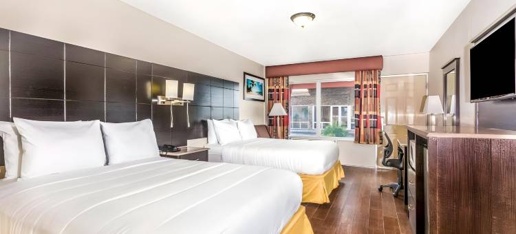伊克诺旅馆套房酒店(Econo Lodge Inn & Suites)图片
