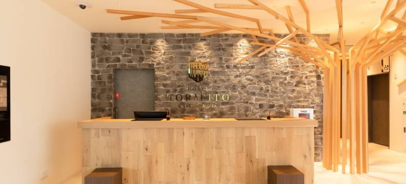 柏之叶托丽芙特酒店(Hotel Torifito Kashiwanoha)图片