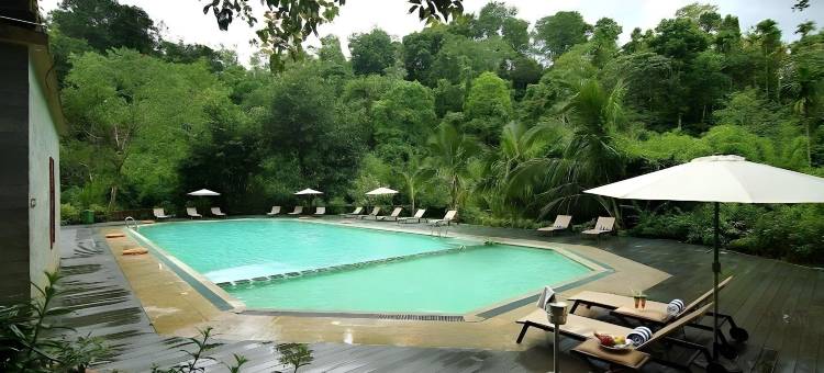 维提里度假村(Vythiri Village)图片