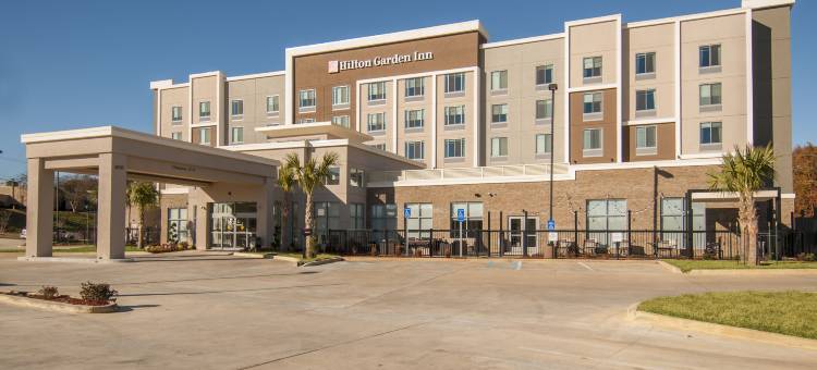 杰克逊弗柯林顿希尔顿花园酒店(Hilton Garden Inn Jackson/Clinton)图片