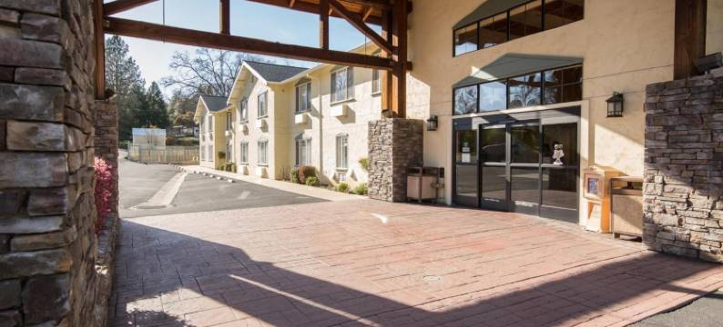 墨菲套房酒店(Murphys Suites)图片