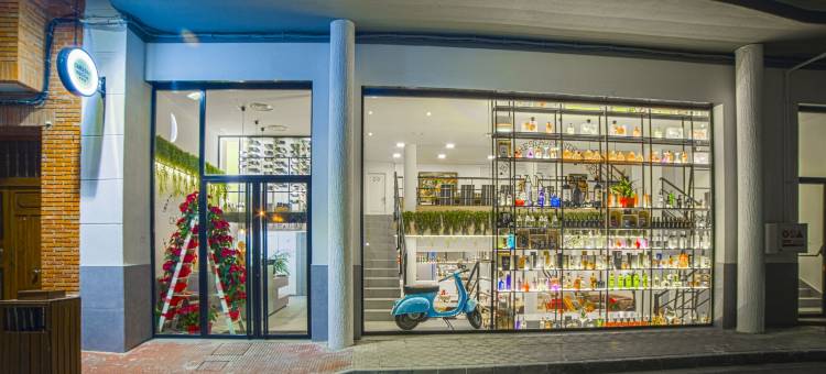 坎尼达斯迈德霍斯佩迪乌酒店 - 美食旅游(Hospedium Hotel Cañitas Maite Gastronómico)图片