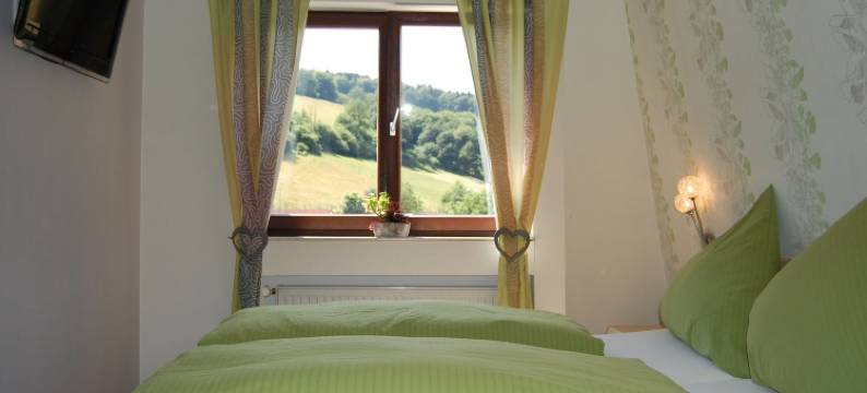 格鲁纳鲍姆乡村酒店(Hotel Grüner Baum Mit Restaurant & Wellness)图片