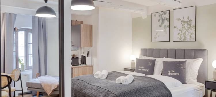 limehome 梅克伦堡主市场(Limehome Zwickau Hauptmarkt)图片