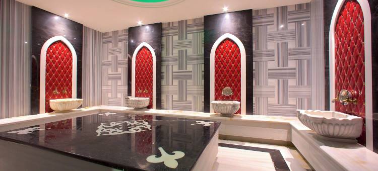 Best Western Plus Hotel & Residences Istanbul图片