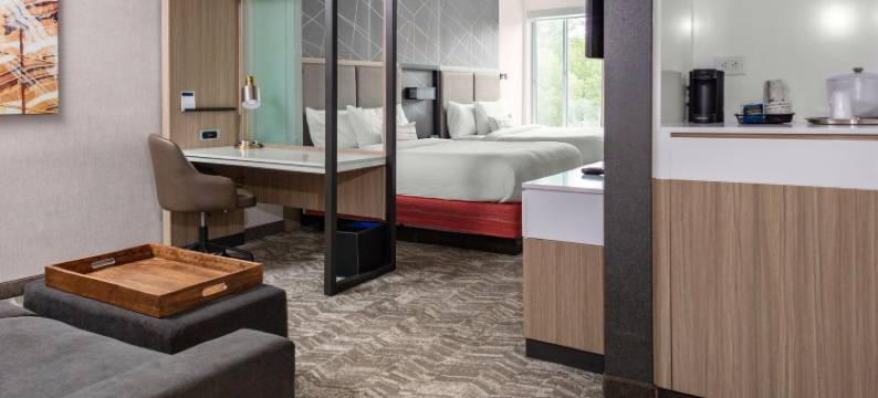 亚特兰大苏瓦尼约翰溪万豪SpringHill Suites酒店(SpringHill Suites Suwanee Johns Creek)图片
