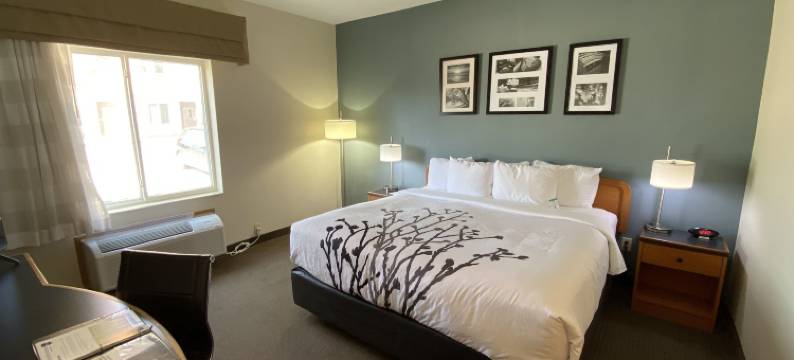 达文波特舒眠酒店及套房(Sleep Inn & Suites Davenport - Quad Cities)图片