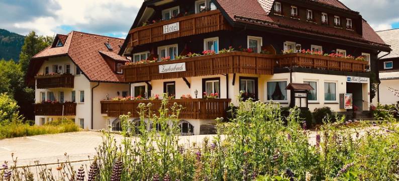 查藤巴赫民宿酒店(Hotel Zartenbach)图片