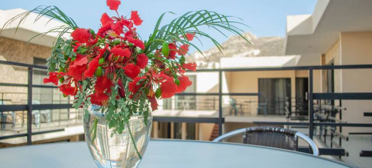 佩德雷加尔套房酒店(Pedregal Suites - Marina and Downtown)图片