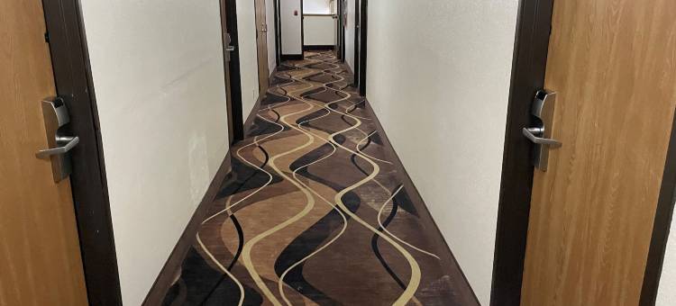 阿尔图纳速8酒店(Super 8 by Wyndham Altoona)图片