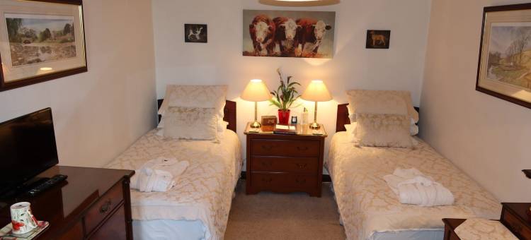 斯塔福德之屋旅馆(Stafford House Guest House)图片