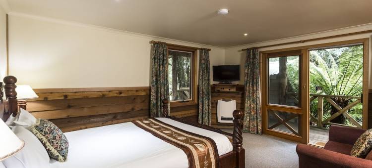 摇篮森林旅馆(Cradle Forest Inn)图片