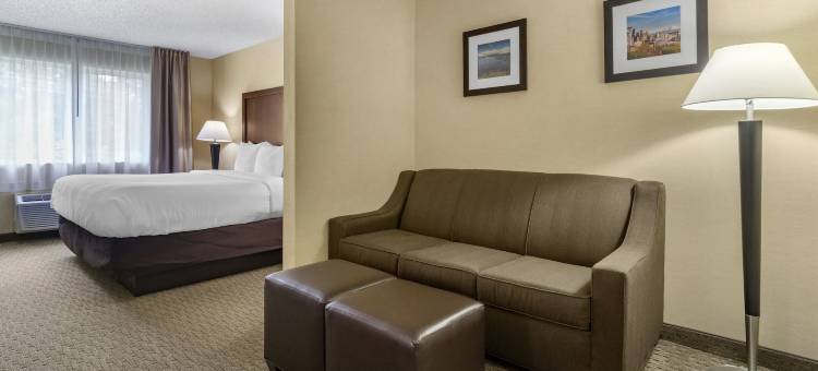 西雅图北部博塞尔舒适酒店(Comfort Inn & Suites Bothell – Seattle North)图片