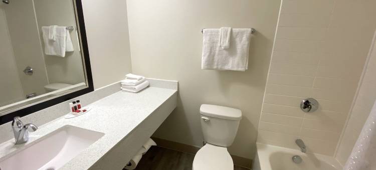 卡本代尔大学旅馆(University Inn of Carbondale)图片