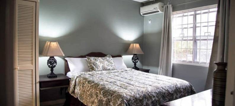 金斯敦镇套房酒店(Kingston Town Suite)图片