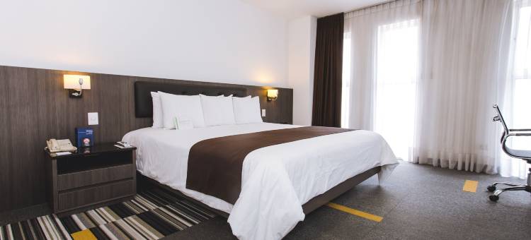 温德姆利马机场太阳海岸酒店(Wyndham Costa del Sol Lima Airport)图片