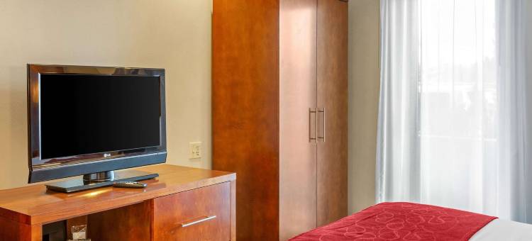 橡树溪阳台近橡树溪中心舒适全套房酒店(Comfort Suites Oakbrook Terrace Near Oakbrook Center)图片