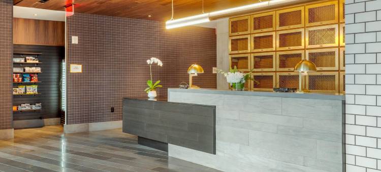 坎布里亚酒店波士顿市中心-海港区(Cambria Hotels Boston Downtown - Seaport)图片