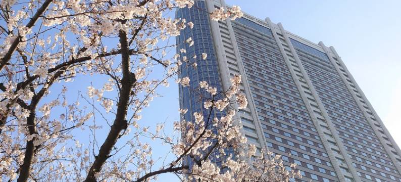 东京巨蛋酒店(Tokyo Dome Hotel)图片