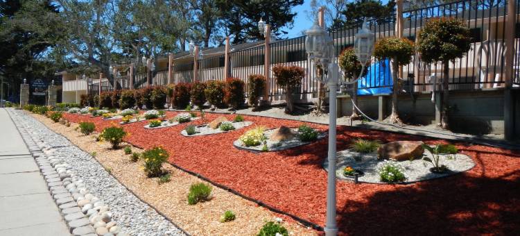 姆拉斯美洲最佳价值总统酒店(Americas Best Value Presidents Inn on Munras)图片