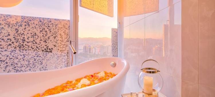 地拉那玛丽蒂姆广场酒店(Maritim Hotel Plaza Tirana)图片