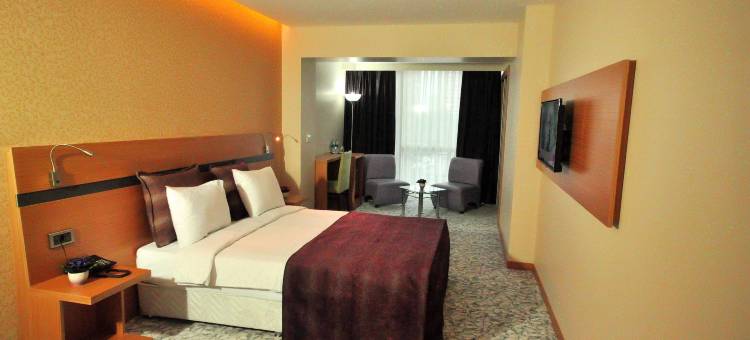 大阪机场酒店(Hotel Osaka Airport)图片
