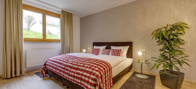 阿莱曼恩霍夫精品酒店(Alemannenhof - Boutique Hotel am Titisee)图片