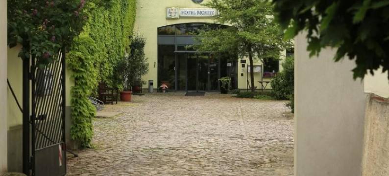 易北河莫里茨餐厅酒店(Hotel Moritz an der Elbe)图片