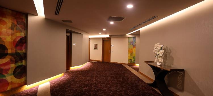 伊斯坦布尔亚洲机场温德姆华美达广场酒店(Ramada Plaza by Wyndham Istanbul Asia Airport)图片