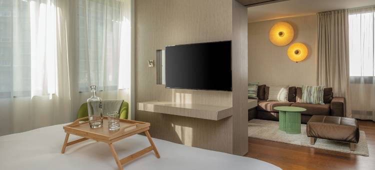图卢兹 JdV 凯悦精选酒店(FirstName Toulouse part of JdV by Hyatt)图片