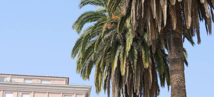 两岸公园皮埃尔假日公寓酒店(Résidence Pierre & Vacances les Rivages du Parc)图片