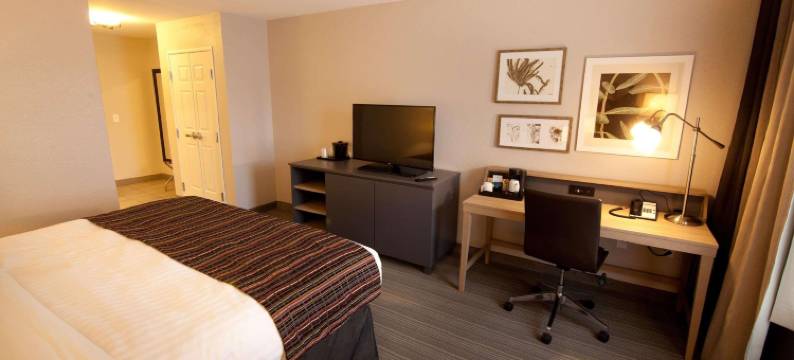 丽笙爱荷华州迪科拉乡村套房酒店(Country Inn & Suites by Radisson, Decorah, IA)图片