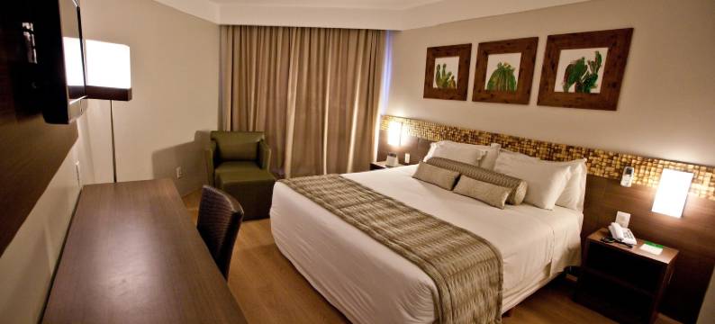 阿拉卡茄兹力酒店(Celi Hotel Aracaju)图片