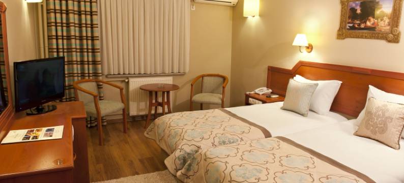 布伊泽尔特莫酒店(Boyuguzel Termal Hotel)图片