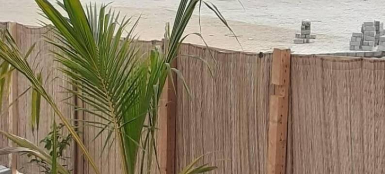 迈奥卡海滩弗莱克斯(Mayorca Beach Flex)图片