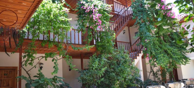 达利安康纳苏酒店(Hotel Konak Su)图片