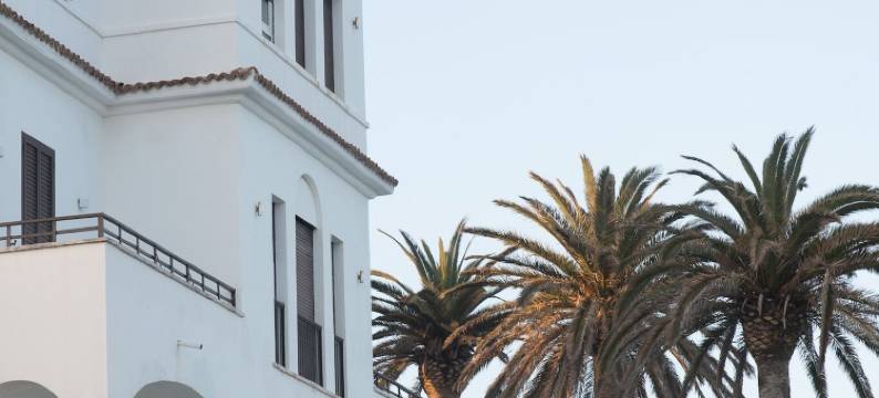 棕榈别墅(Villa Delle Palme)图片