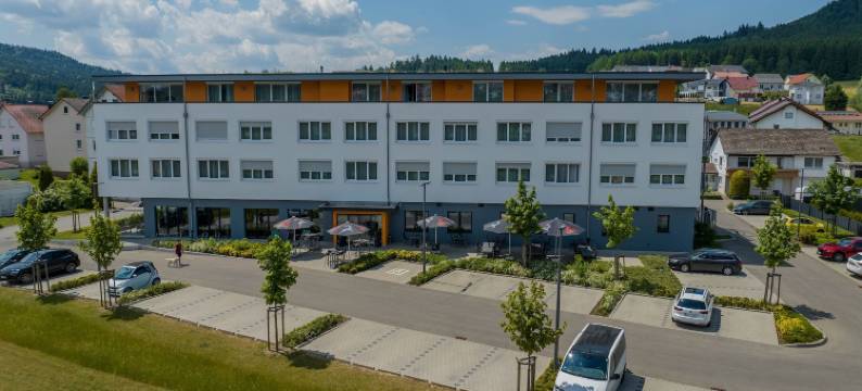 韦欣根城堡酒店(Hotel Schlossberg Wehingen)图片