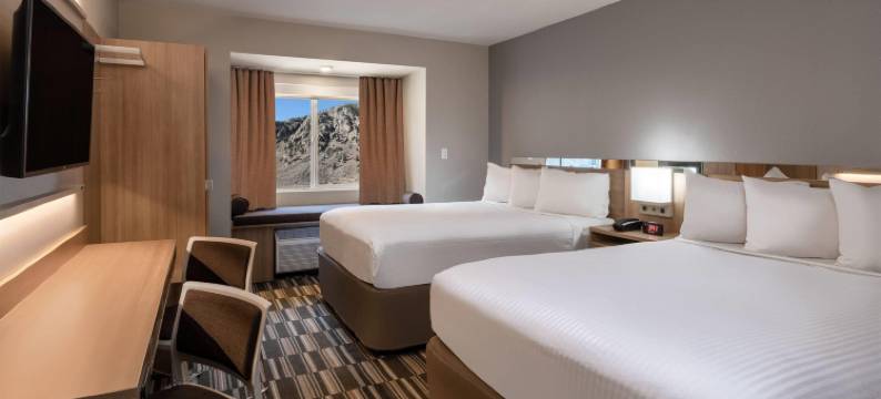 乔治敦湖麦客达温德姆酒店(Microtel Inn & Suites by Wyndham Georgetown Lake)图片