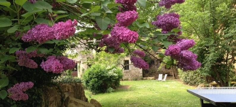 阿尔卡妮贝莱 - 魅力民宿(L'Arcane du Bellay)图片