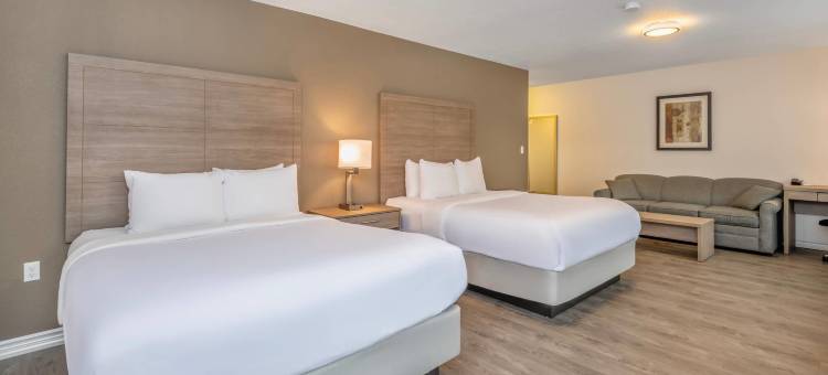 舒适套房酒店-千岛海港区(Comfort Inn & Suites Thousand Islands Harbour District)图片