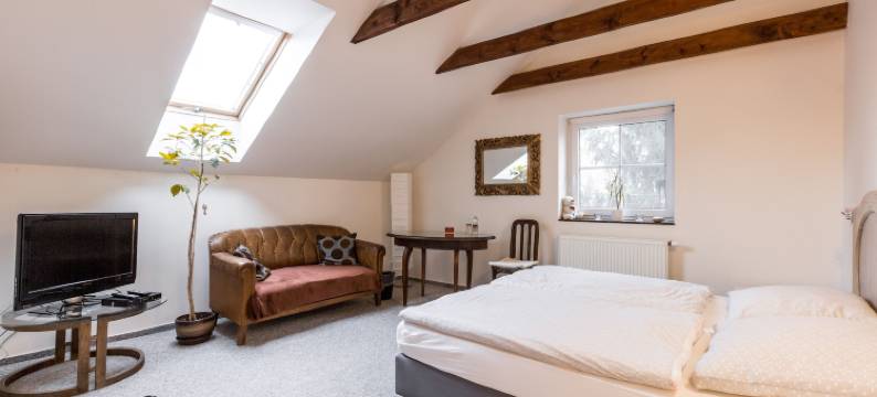 阿尔特膳食旅馆(Alt Pension)图片