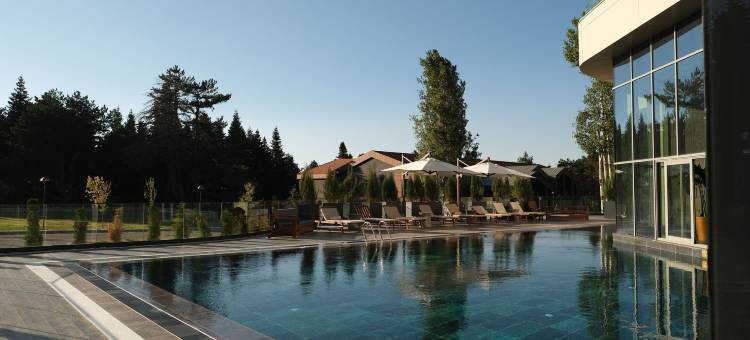 布尔萨乌鲁达瑞士酒店(Swissotel Uludag Bursa)图片